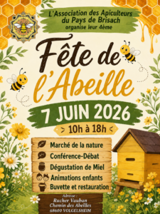 verso2026